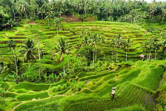 Bali Paradise Escape